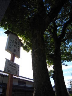 写真 027.JPG