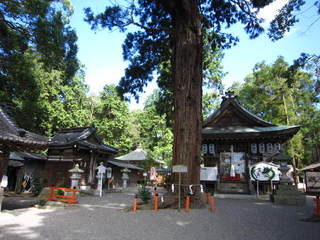 写真 039.JPG
