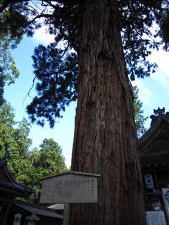 写真 041.JPG
