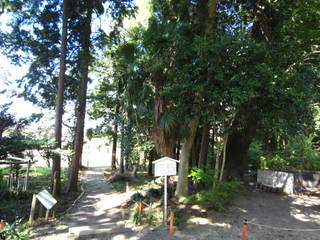 写真 049.JPG
